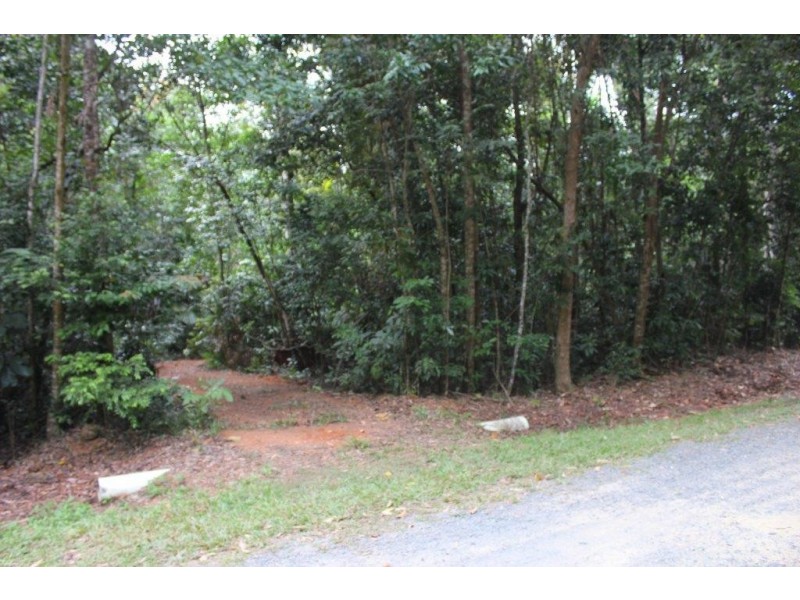150 Wattle Close COW BAY, Daintree QLD 4873