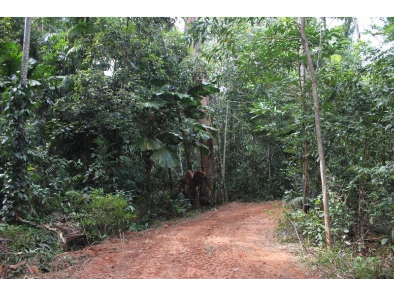 150 Wattle Close COW BAY, Daintree QLD 4873