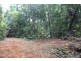 150 Wattle Close COW BAY, Daintree QLD 4873