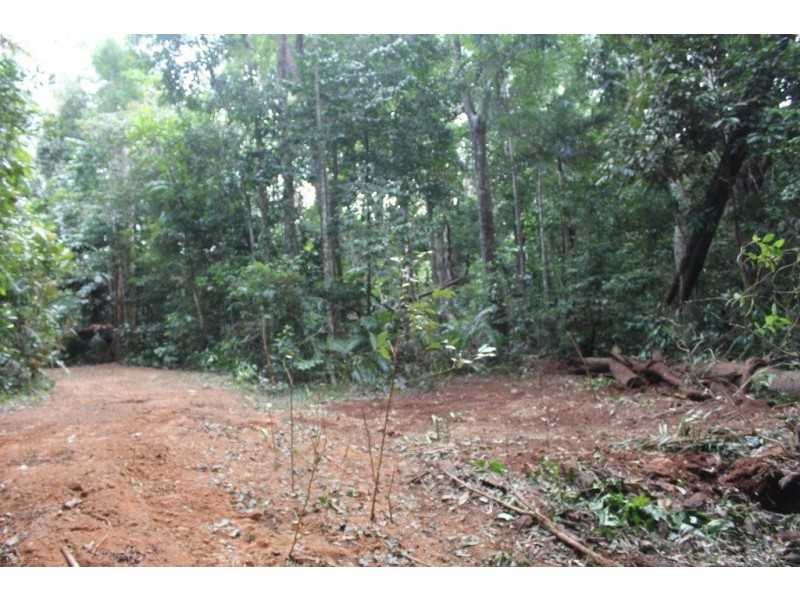150 Wattle Close COW BAY, Daintree QLD 4873
