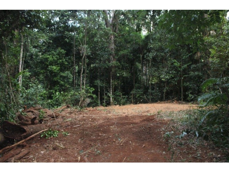 150 Wattle Close COW BAY, Daintree QLD 4873