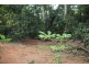 150 Wattle Close COW BAY, Daintree QLD 4873