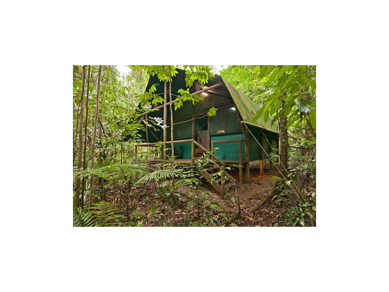 Lot 5  Buchanan Creek Rd (Crocodylus), Cow Bay QLD 4873