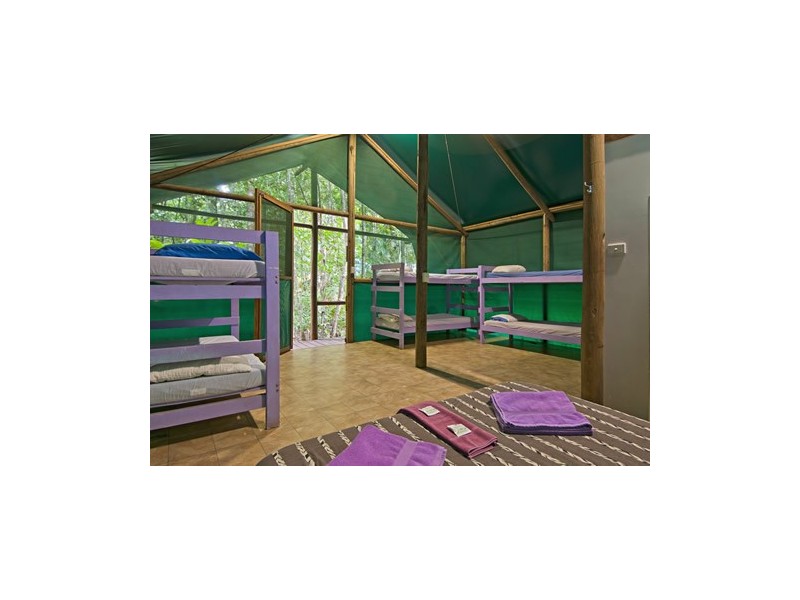 Lot 5  Buchanan Creek Rd (Crocodylus), Cow Bay QLD 4873