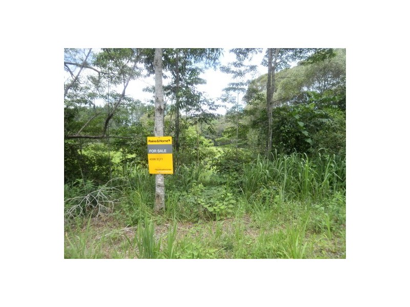 Lot 20 Euluma Creek, Julatten QLD 4871