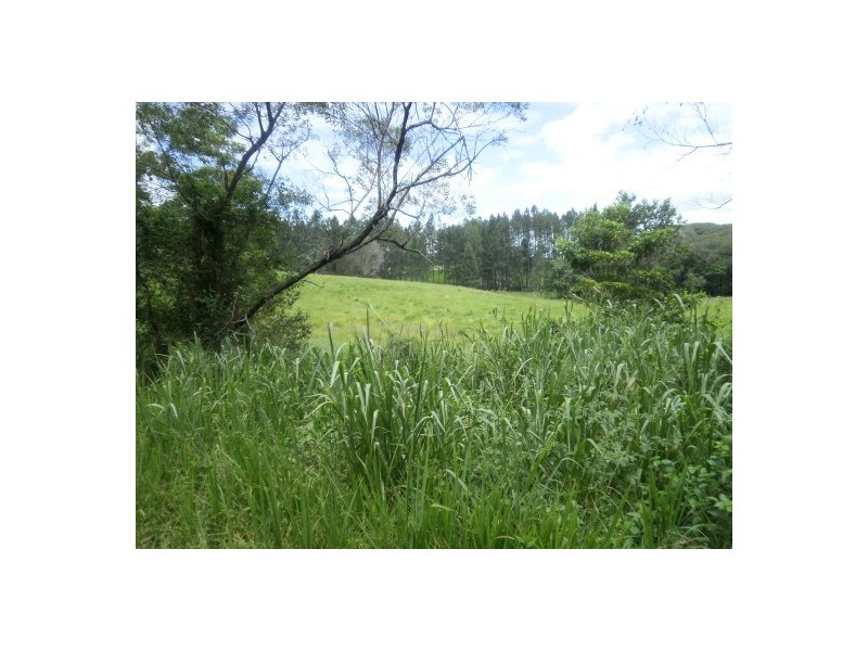 Lot 20 Euluma Creek, Julatten QLD 4871