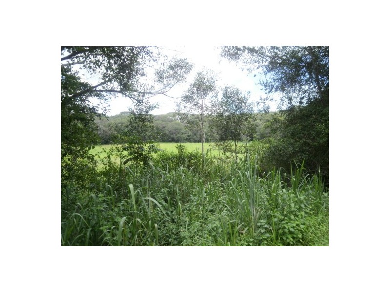 Lot 20 Euluma Creek, Julatten QLD 4871