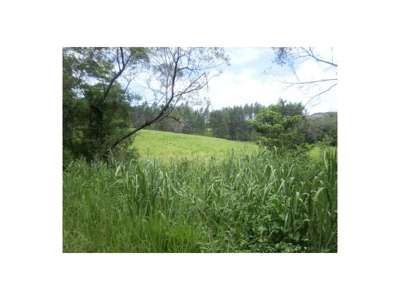 Lot 20 Euluma Creek, Julatten QLD 4871