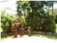 7 Billfish Close, Wonga QLD 4873