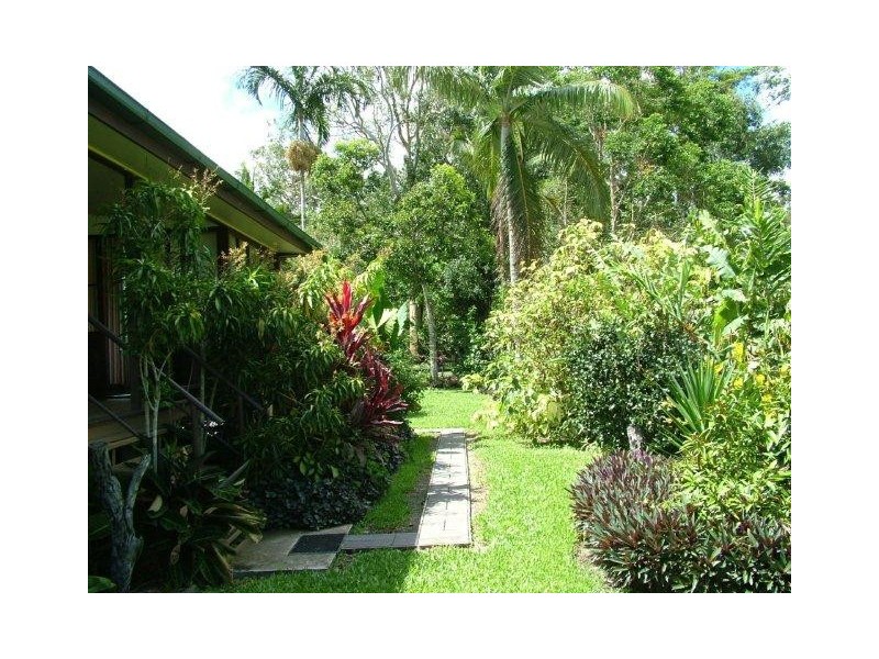 31 Mount Kooyong Rd, Julatten QLD 4871