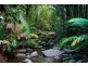 Lot 274 Spoonbill Close, Mossman QLD 4873