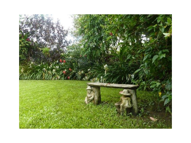 23 Forest Glen Road, Mossman QLD 4873