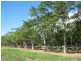 Lot 18 Ferrero Road, Port Douglas QLD 4877