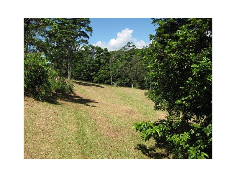 16 Rennie Close, Julatten QLD 4871