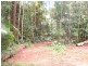 8 Buchanan Creek Road, Cow Bay QLD 4873
