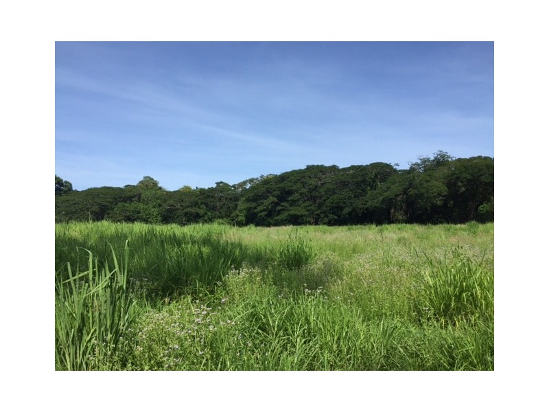 Lot 38 Connolly Road, Mowbray QLD 4877