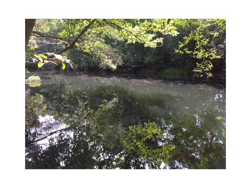 Lot 38 Connolly Road, Mowbray QLD 4877