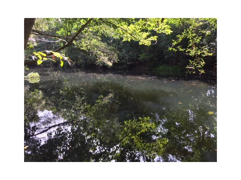 Lot 38 Connolly Road, Mowbray QLD 4877