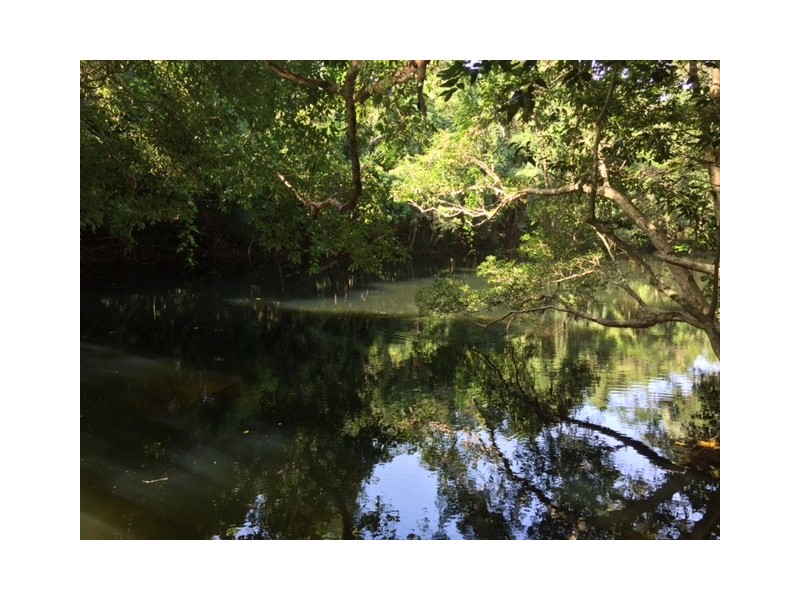 Lot 38 Connolly Road, Mowbray QLD 4877