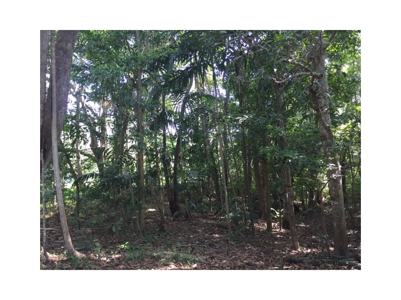 Lot 38 Connolly Road, Mowbray QLD 4877