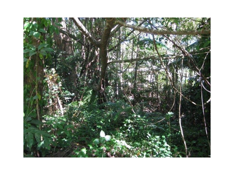 17 Maxwell Street, Mossman QLD 4873
