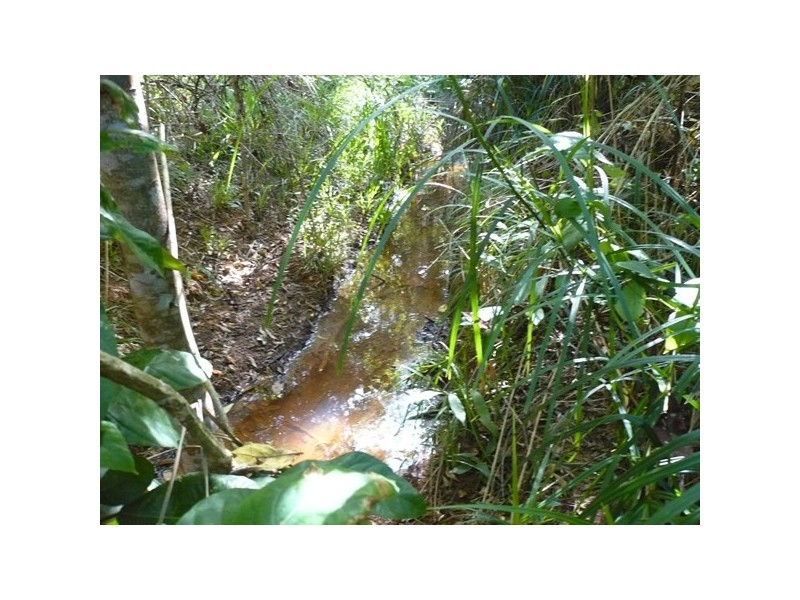 16 Rennie Close, Julatten QLD 4871