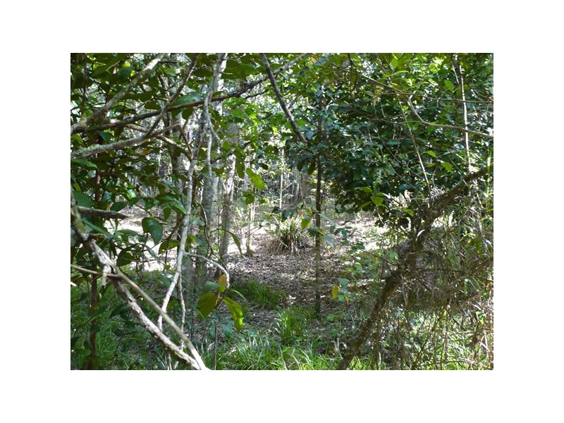 16 Rennie Close, Julatten QLD 4871