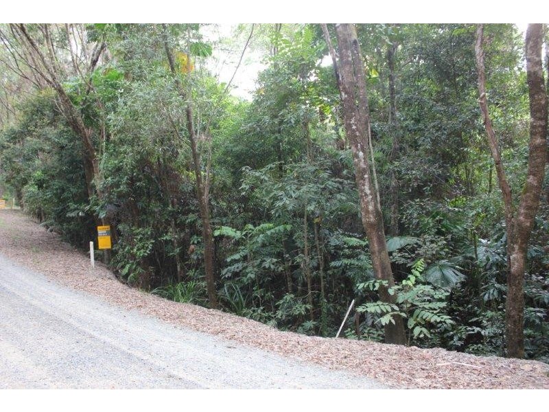 Lot 22 Forest Close FOREST CREEK, Daintree QLD 4873