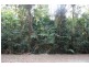 Lot 22 Forest Close FOREST CREEK, Daintree QLD 4873