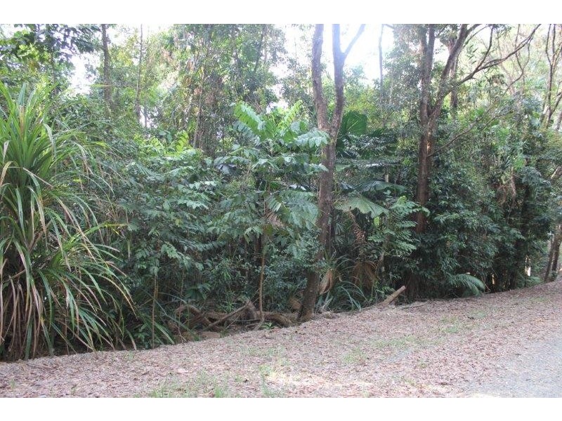 Lot 22 Forest Close FOREST CREEK, Daintree QLD 4873