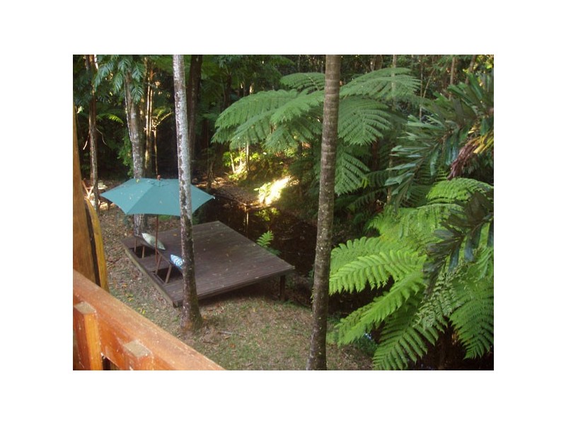 Lot 325 Cape Tribulation Road, Cow Bay QLD 4873