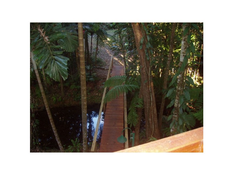 Lot 325 Cape Tribulation Road, Cow Bay QLD 4873