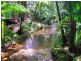 Lot 325 Cape Tribulation Road, Cow Bay QLD 4873