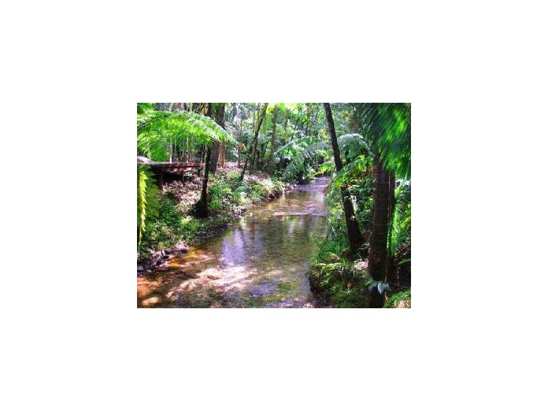 Lot 325 Cape Tribulation Road, Cow Bay QLD 4873