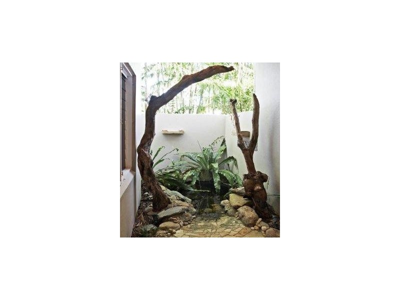 9 Trochus Close, Port Douglas QLD 4877