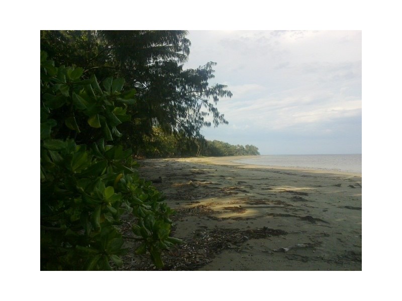 Lot 1 Cape Tribulation Road CAPE TRIBULATION, Daintree QLD 4873