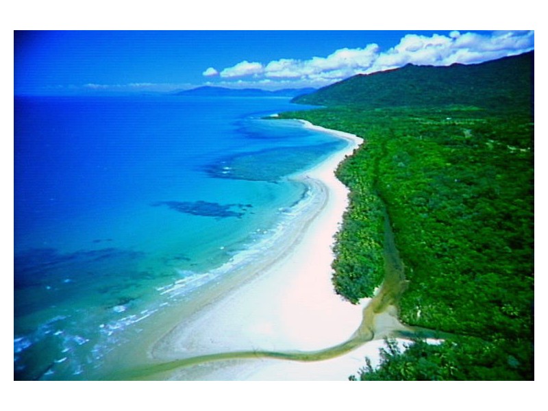 Lot 1 Cape Tribulation Road CAPE TRIBULATION, Daintree QLD 4873