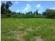 Lot 1 Cape Tribulation Road CAPE TRIBULATION, Daintree QLD 4873