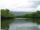 Lot 1 Cape Tribulation Road CAPE TRIBULATION, Daintree QLD 4873