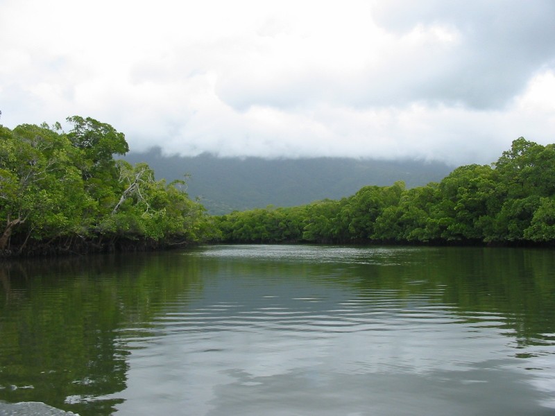 Lot 1 Cape Tribulation Road CAPE TRIBULATION, Daintree QLD 4873