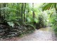 Lot 25 Forest Creek Road FOREST CREEK, Daintree QLD 4873