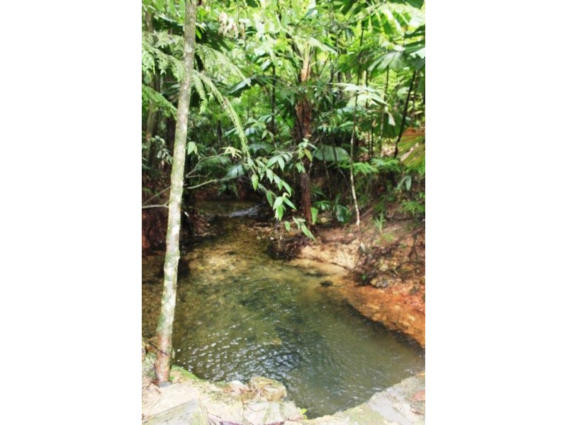 Lot 25 Forest Creek Road FOREST CREEK, Daintree QLD 4873