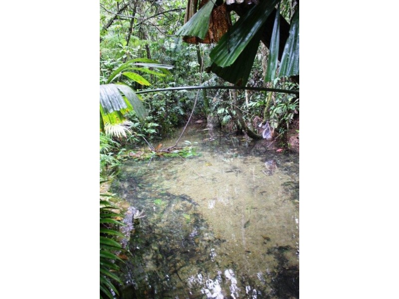 Lot 25 Forest Creek Road FOREST CREEK, Daintree QLD 4873