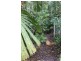 Lot 25 Forest Creek Road FOREST CREEK, Daintree QLD 4873