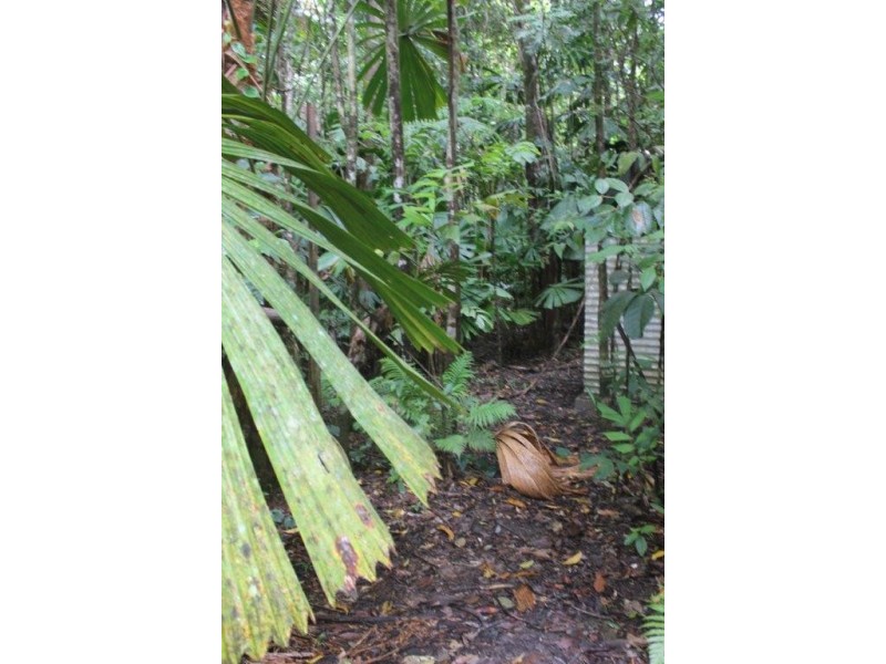Lot 25 Forest Creek Road FOREST CREEK, Daintree QLD 4873