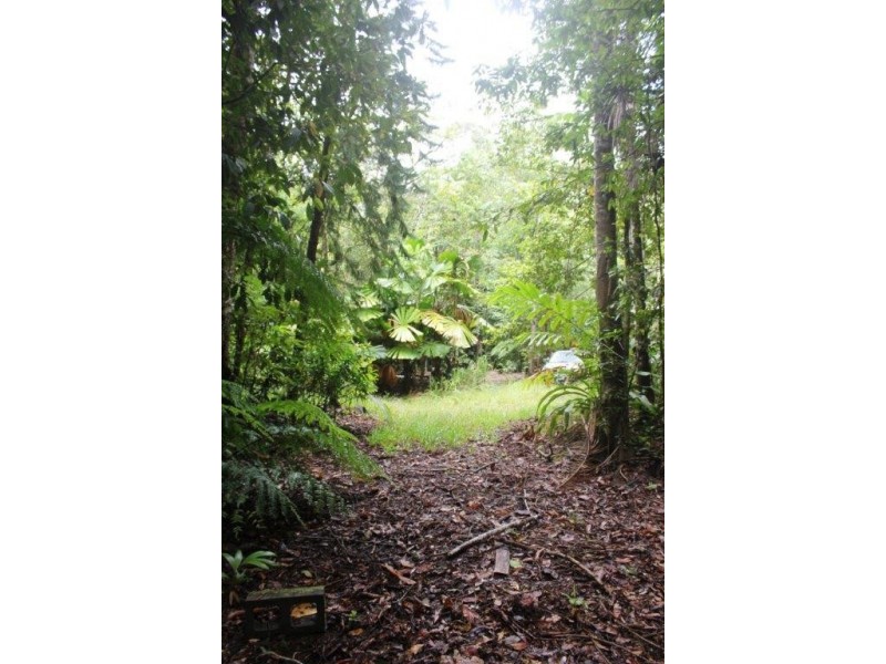 Lot 25 Forest Creek Road FOREST CREEK, Daintree QLD 4873