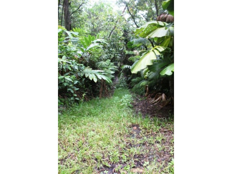 Lot 25 Forest Creek Road FOREST CREEK, Daintree QLD 4873