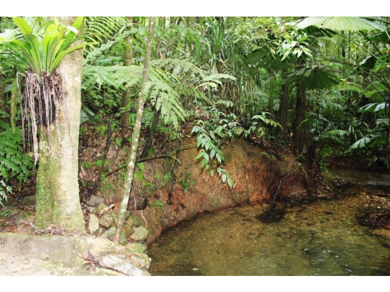 Lot 25 Forest Creek Road FOREST CREEK, Daintree QLD 4873