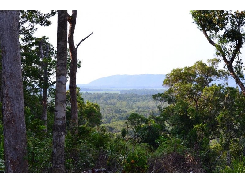 21 Forest Close FOREST CREEK, Daintree QLD 4873