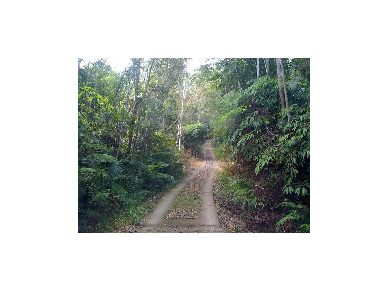 21 Forest Close FOREST CREEK, Daintree QLD 4873